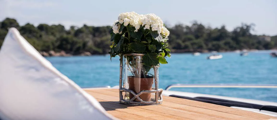Palumba, photo 15 location yacht Cannes