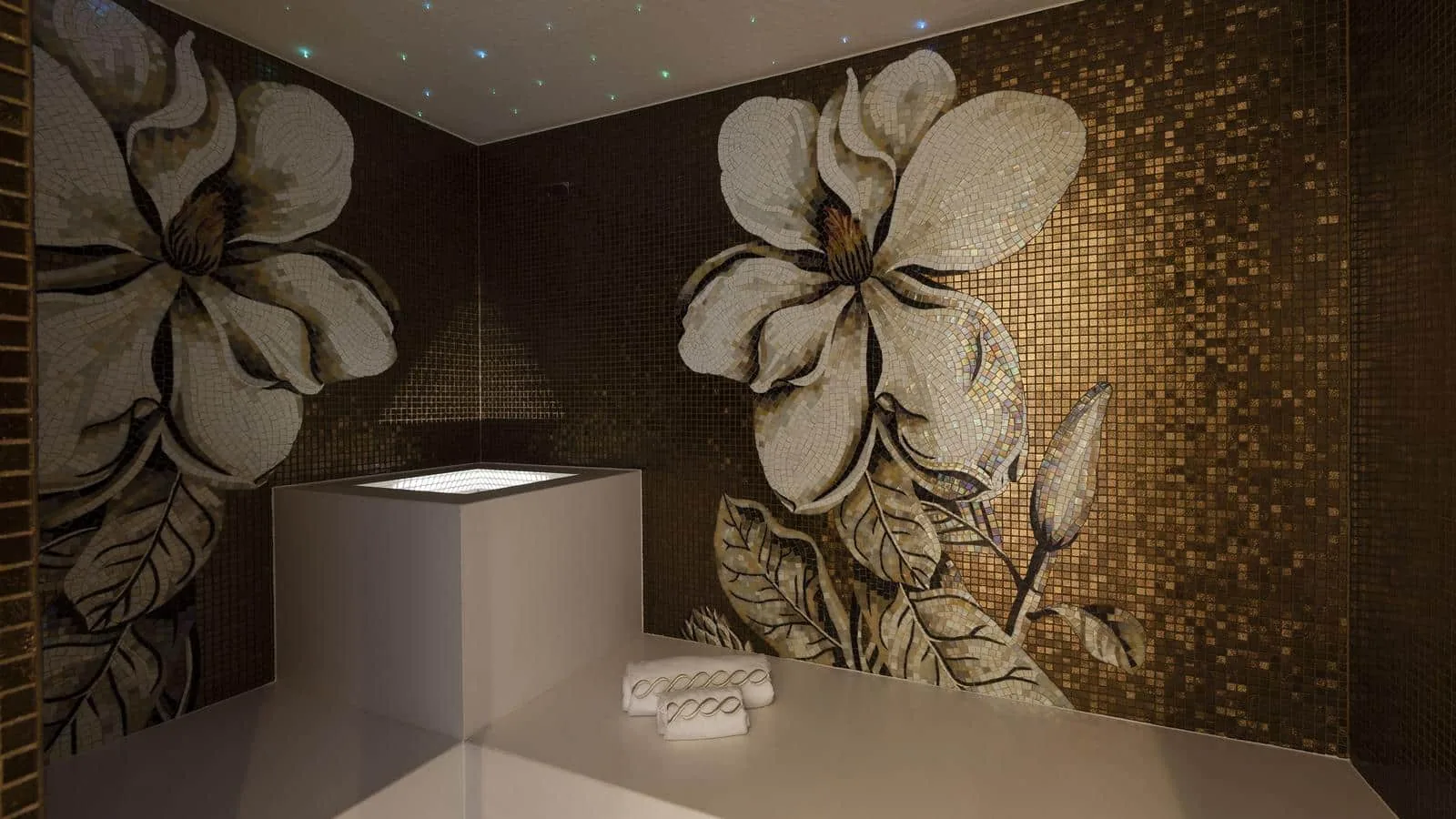 QUINTA ESSENTIA - photo 16 location yacht Cannes